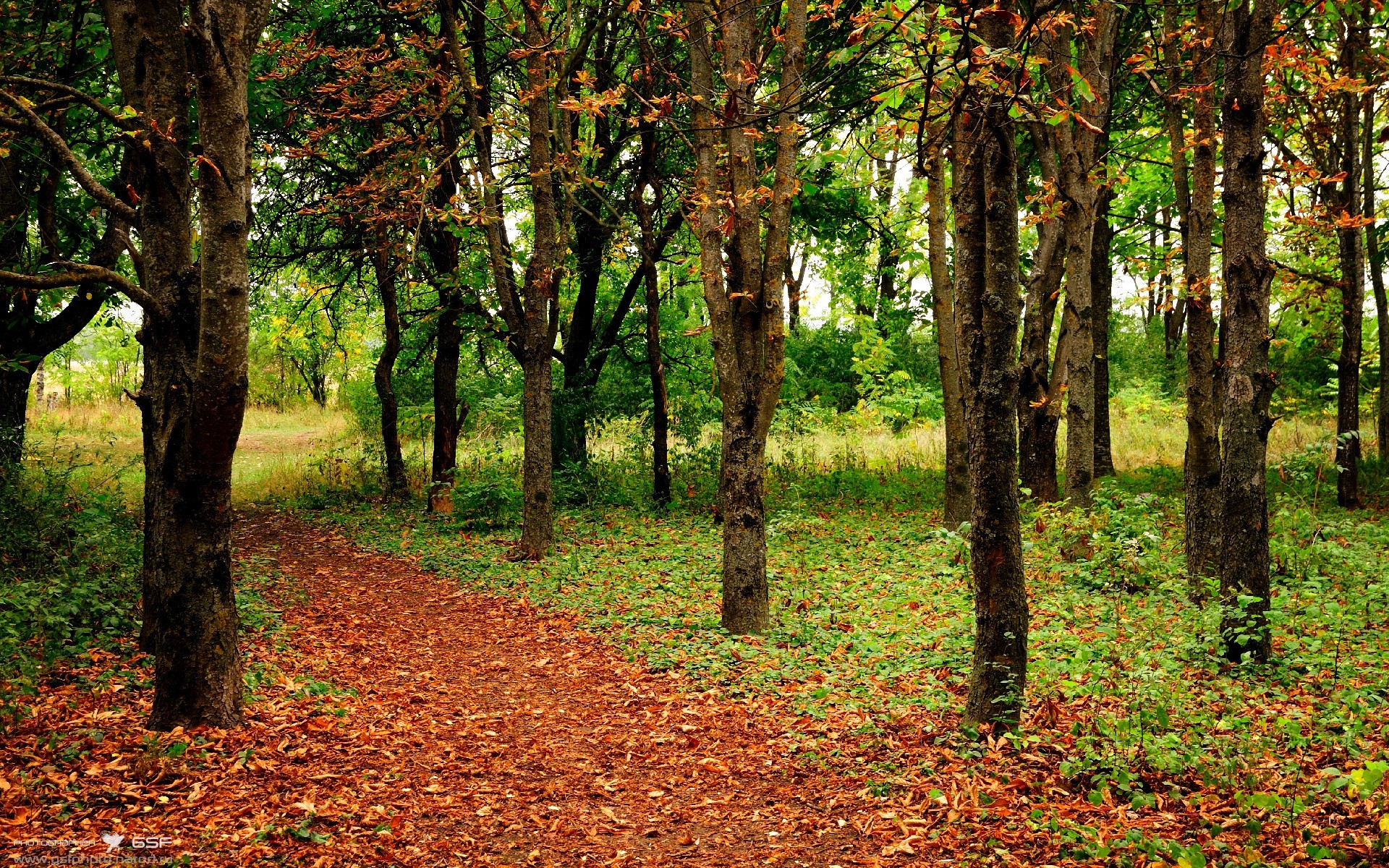 杰伦格林单骑闯关！狂轰40分率掘金险胜山西，上演极限翻盘好戏