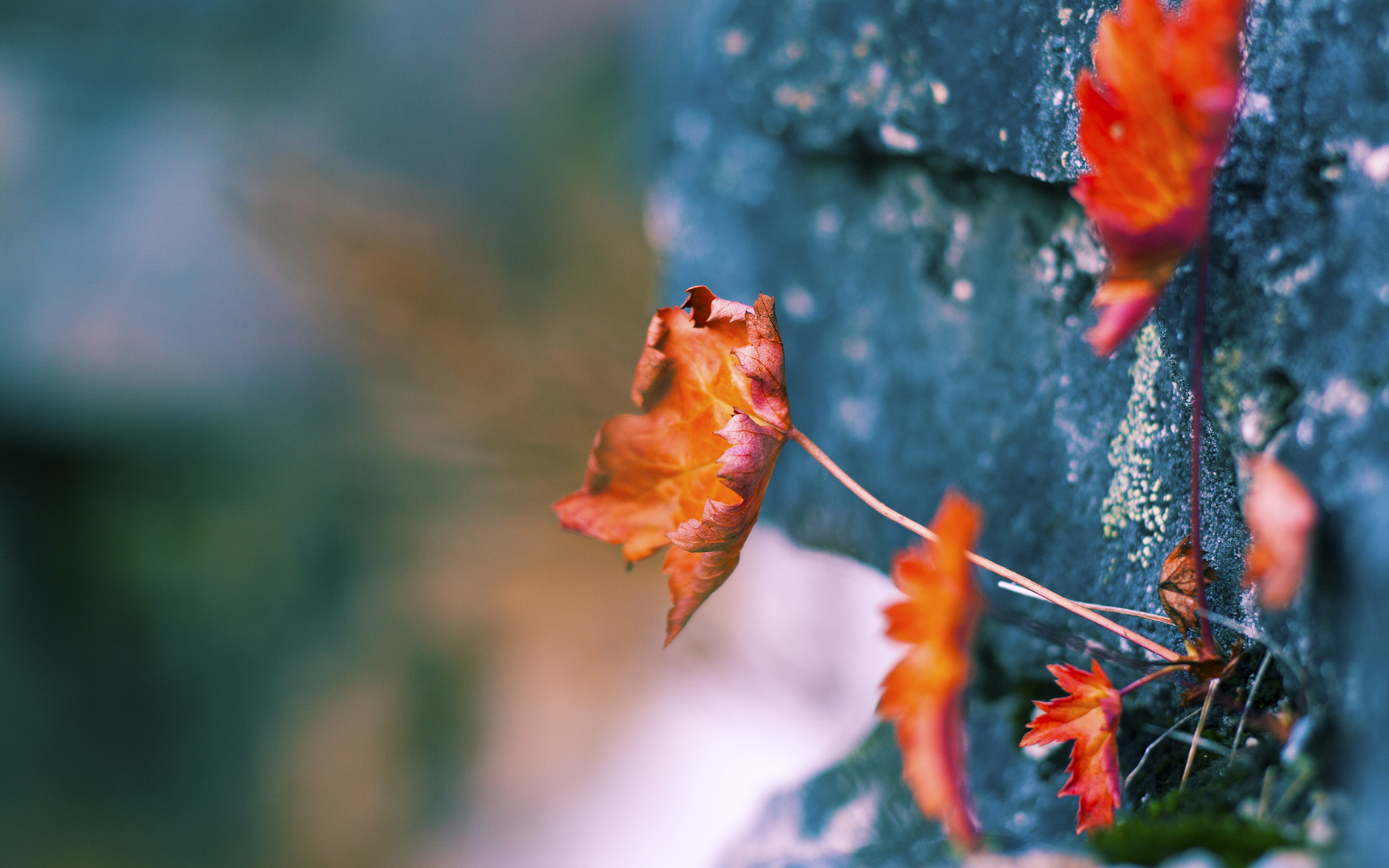 勇士完胜马刺，切特关键战不手软—一场决定季后赛走势的精彩对决