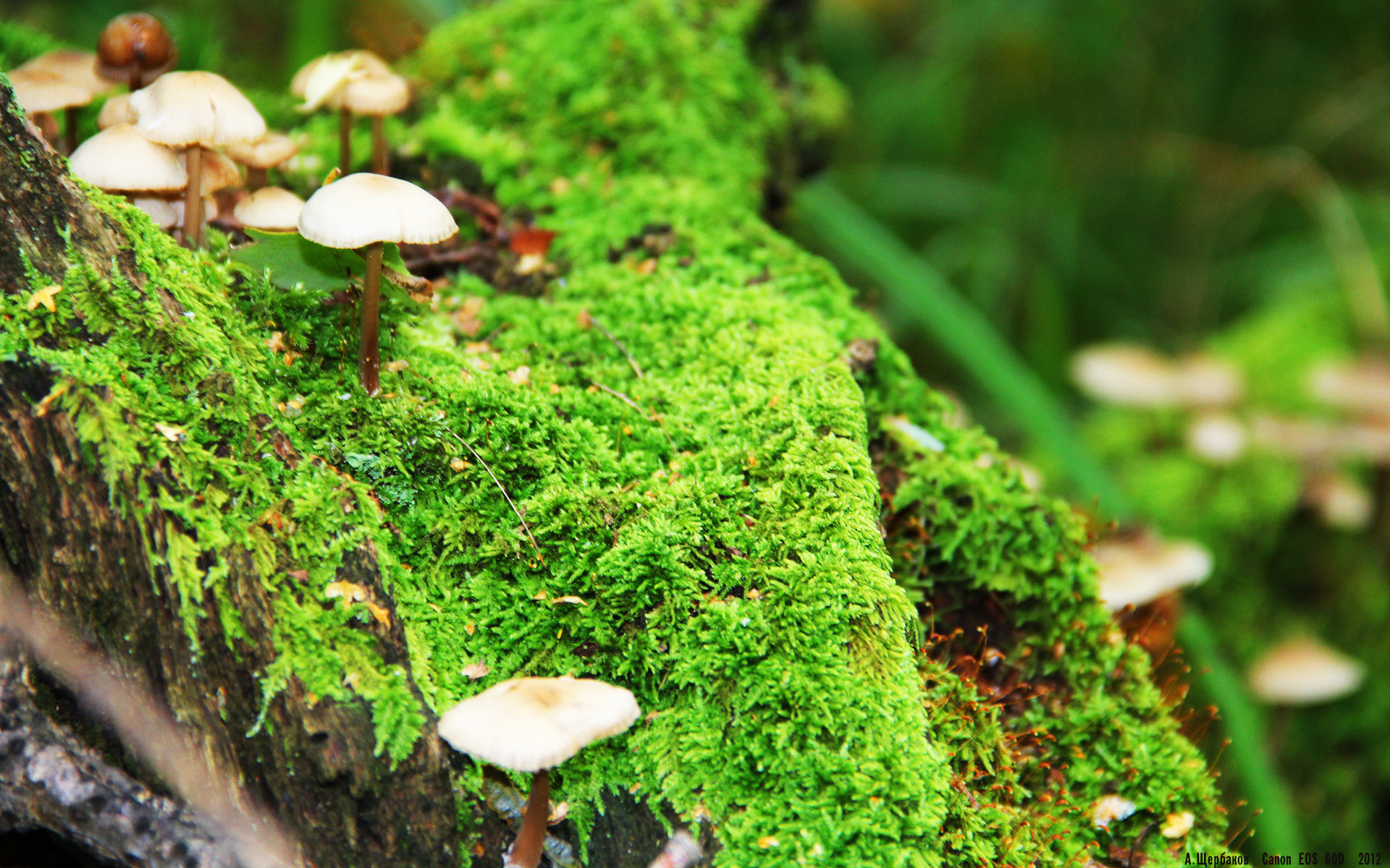 pg电子试玩网-龙卷风压境，乔治独木难支！广东队团队篮球终结雷霆连胜神话