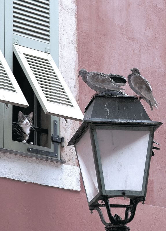 pg电子试玩-新星撞破大帝铁幕，班凯罗惊艳表现让费城王座震颤