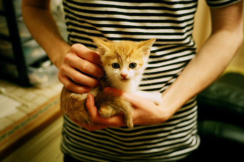 黑色长城封浙江,奇兵克莱定乾坤—新疆如何用防守绞杀强敌