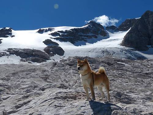 克瓦拉茨赫利亚之夜，当NBA总决赛的喧嚣中响起格鲁吉亚狂想曲