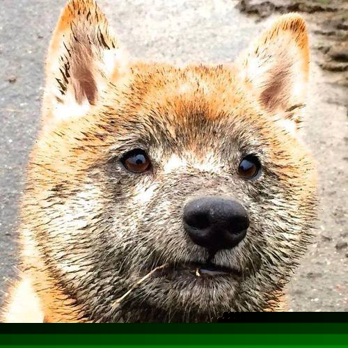 制霸马竞！阿尔瓦雷斯一锤定音，毕尔巴鄂演绎现代足球工匠精神