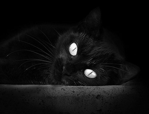 pg电子试玩-西甲国家德比点燃绿茵激情，里昂关键战役挪威突围展现实力