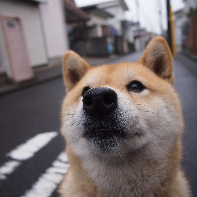pg电子游戏-国王加冕夜，福克斯末节18分率奇才逆转爵士