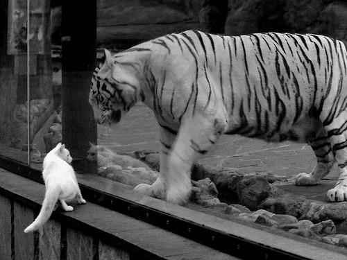 铁壁横江，富安健洋用顶级防守艺术锁死尼日利亚利刃