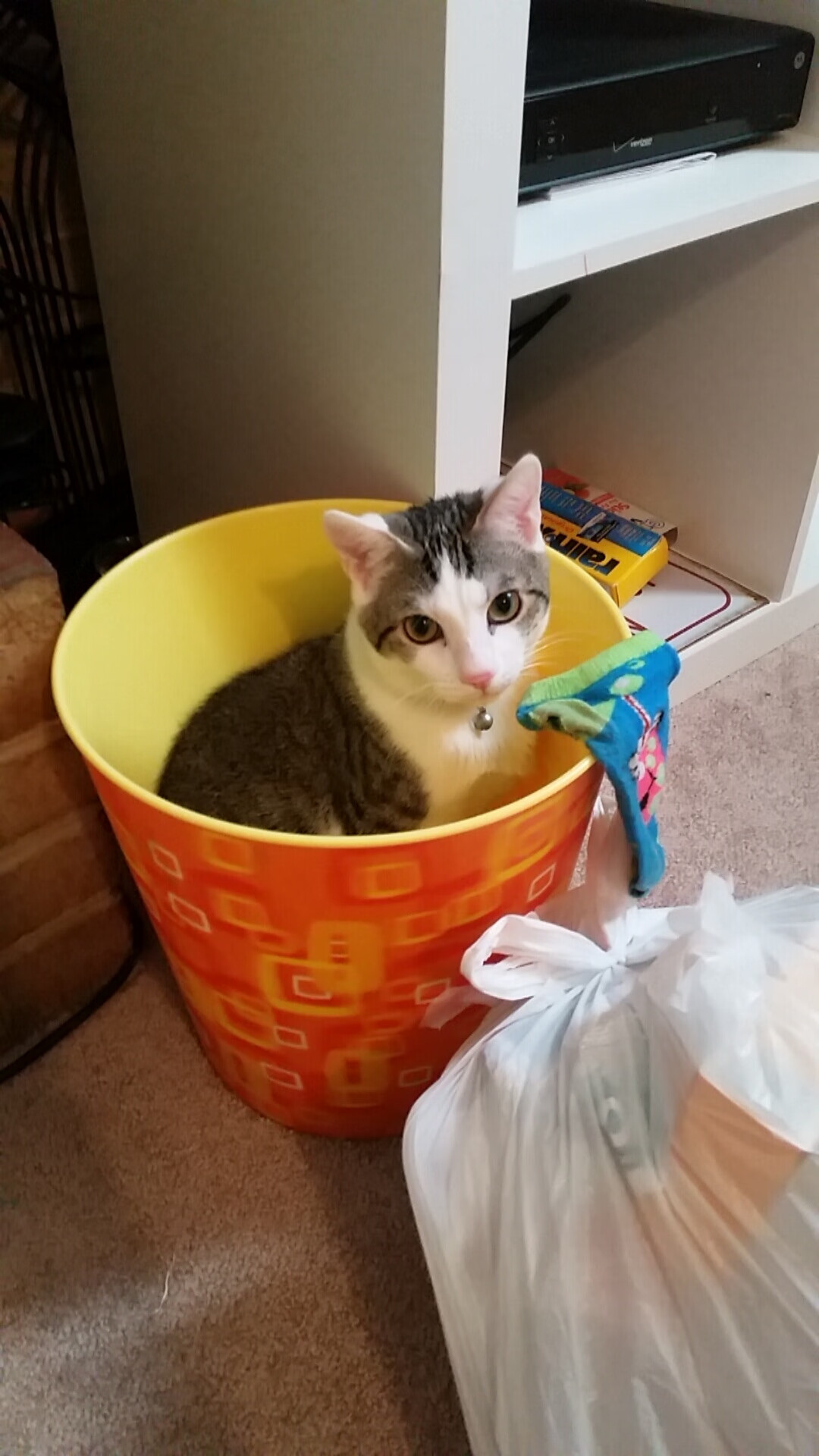 F1街道赛焦点战,北京队铁壁防守锁死深圳队,赢得关键胜利