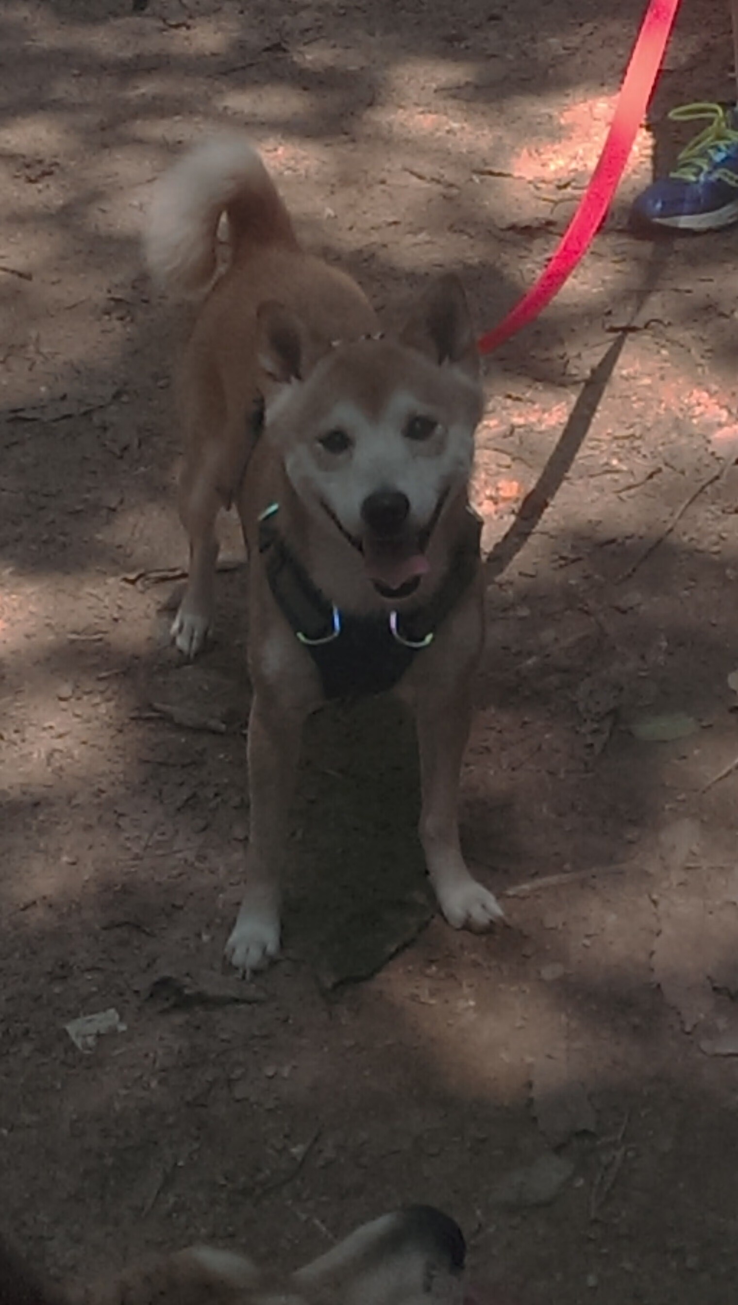 pg电子试玩-神话终结夜，吉林队史诗逆转，乔治一球定江山