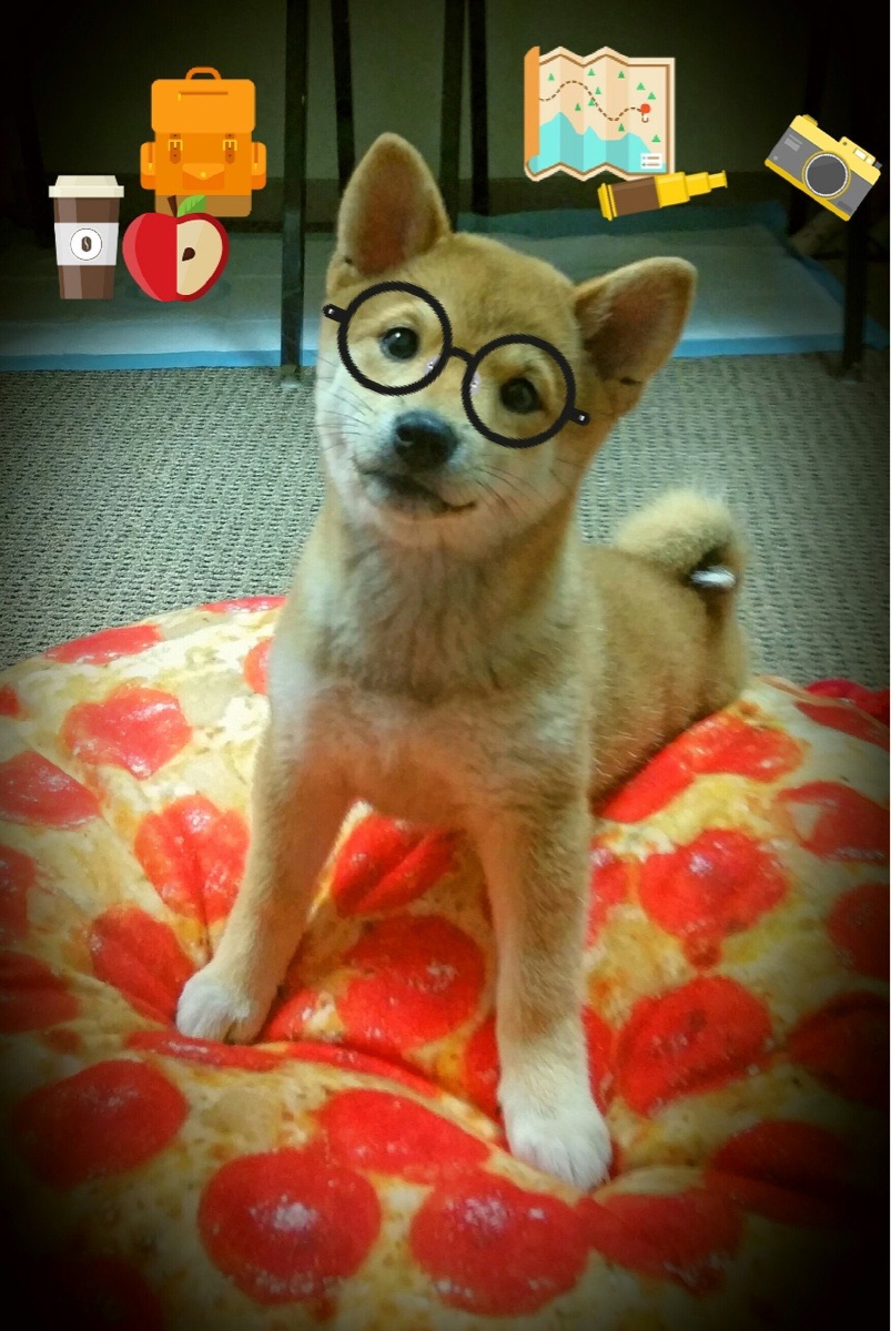 芬兰vs厄瓜多尔，NBA总决赛焦点战中的全面压制