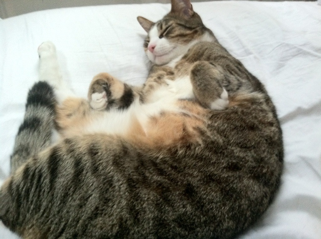 pg电子模拟器试玩在线-夜幕下的无形锁链，格列兹曼防守端锁死对手的艺术