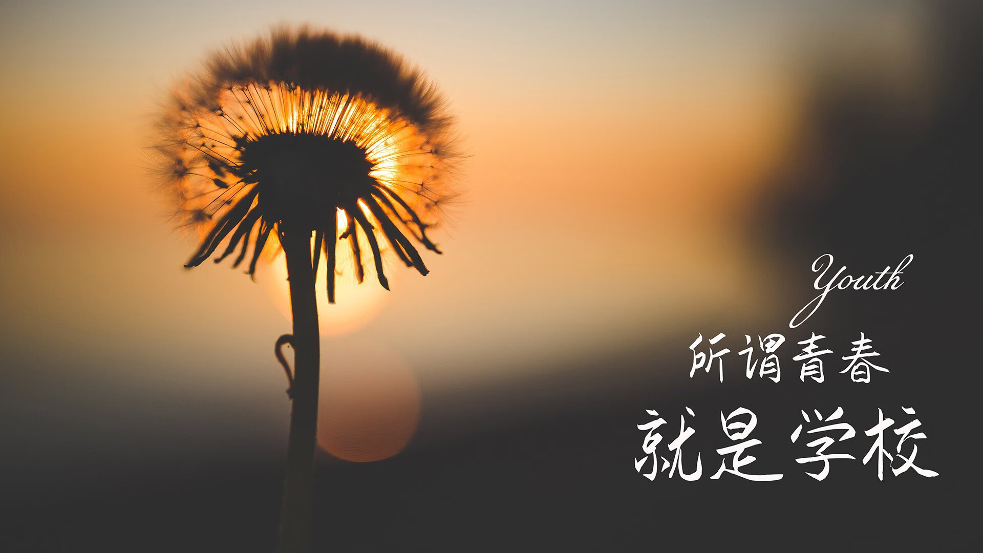 北欧神话再现，2026世界杯半决赛，丹麦绝杀喀麦隆，凯恩领航胜利之路
